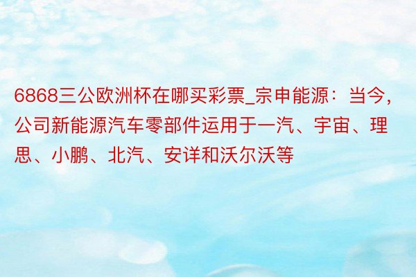 6868三公欧洲杯在哪买彩票_宗申能源：当今，公司新能源汽车零部件运用于一汽、宇宙、理思、小鹏、北汽、安详和沃尔沃等