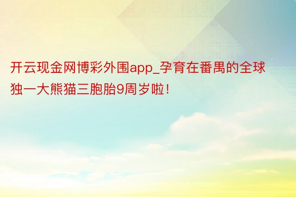 开云现金网博彩外围app_孕育在番禺的全球独一大熊猫三胞胎9周岁啦！