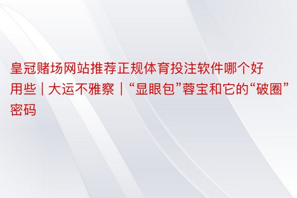 皇冠赌场网站推荐正规体育投注软件哪个好用些 | 大运不雅察｜“显眼包”蓉宝和它的“破圈”密码