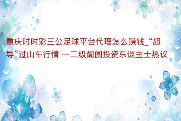 重庆时时彩三公足球平台代理怎么赚钱_“超导”过山车行情 一二