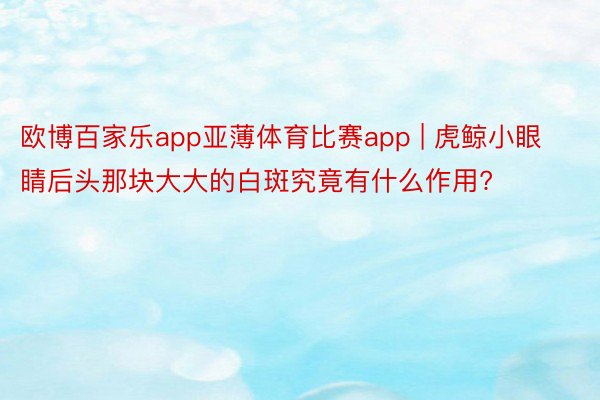 欧博百家乐app亚薄体育比赛app | 虎鲸小眼睛后头那块大大的白斑究竟有什么作用?